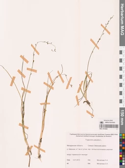 MAG 0016564