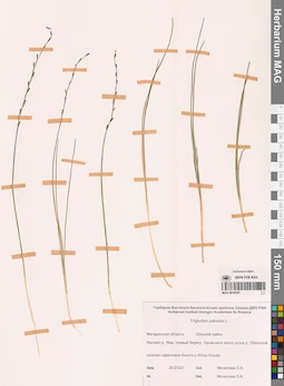 MAG 0016567