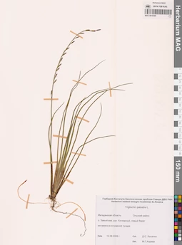 MAG 0016569