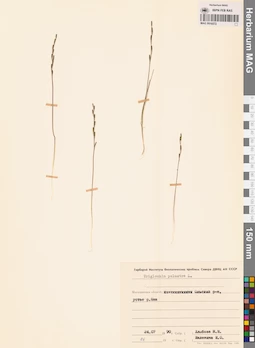MAG 0016572