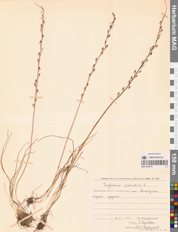 MAG 0016574