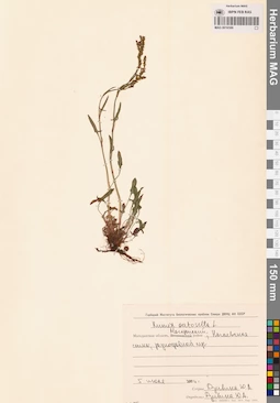 MAG 0016586