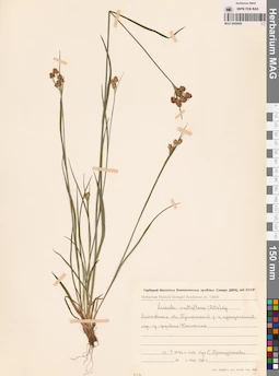 MAG 0008969