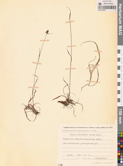 MAG 0008974