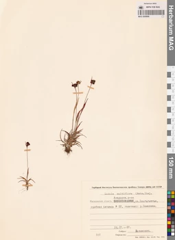 MAG 0008996