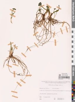 MAG 0016473