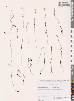 MAG 0012266