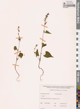 MAG 0009626