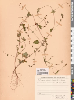 MAG 0009643