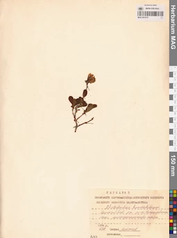 MAG 0016751