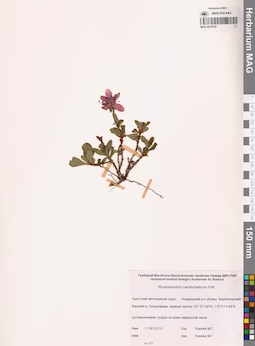 MAG 0016752