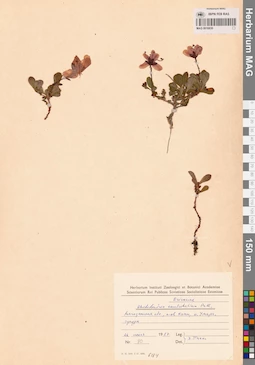 MAG 0016830