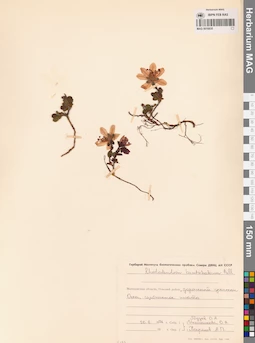 MAG 0016835
