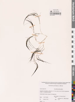 MAG 0010269