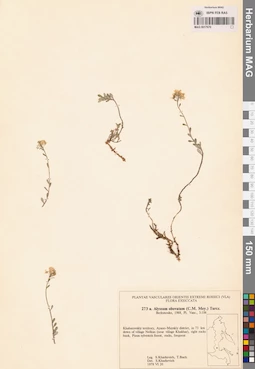 MAG 0017670