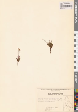 MAG 0017679