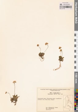 MAG 0017708