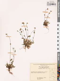 MAG 0017709
