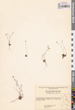MAG 0017714