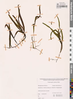 MAG 0017358