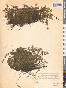 MAG 0019757