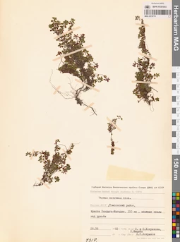 MAG 0019778