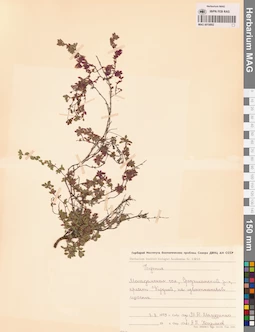 MAG 0019892