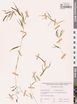MAG 0019578