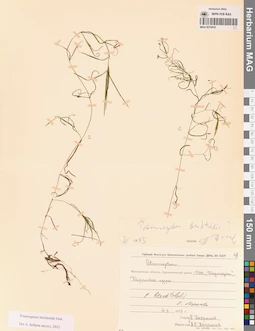 MAG 0019416