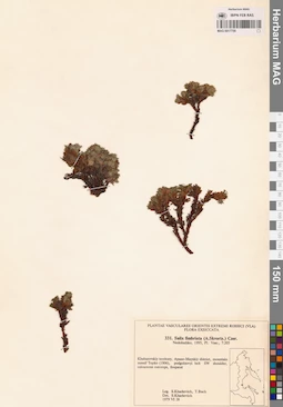 MAG 0017759
