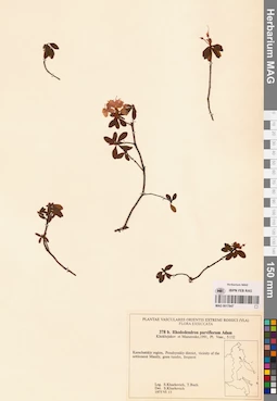 MAG 0017847