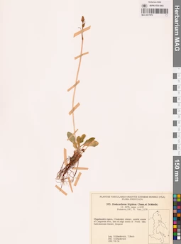 MAG 0017879