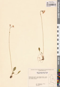 MAG 0017895
