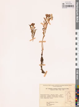 MAG 0017967