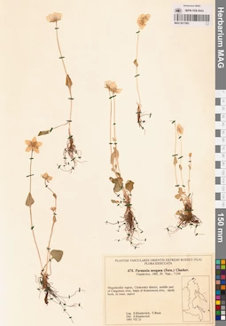 MAG 0017983