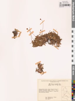 MAG 0017997