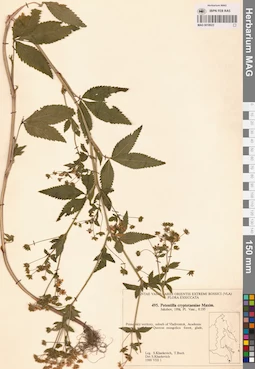 MAG 0018023