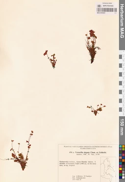 MAG 0018025