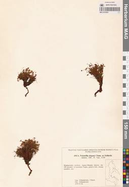 MAG 0018026