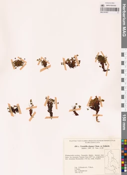 MAG 0018027