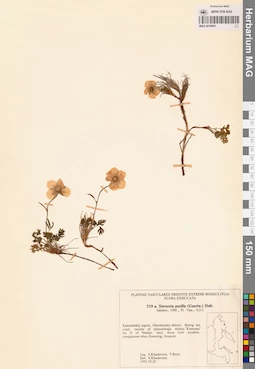 MAG 0018061