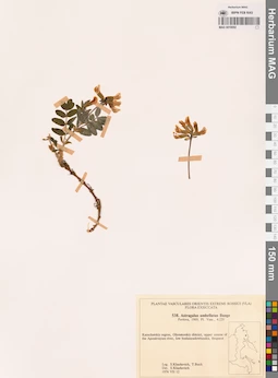 MAG 0018092