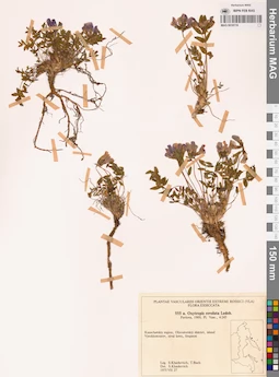 MAG 0018119