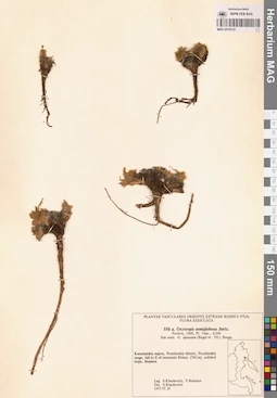 MAG 0018122