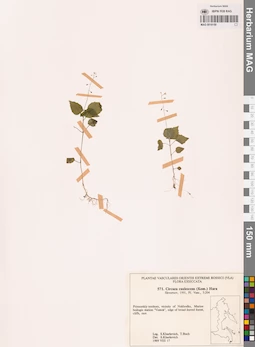 MAG 0018150