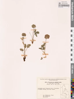 MAG 0018189