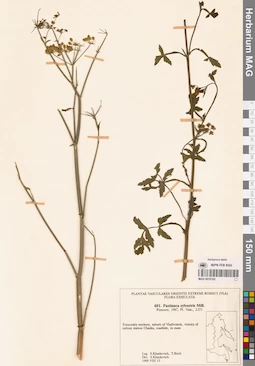 MAG 0018192