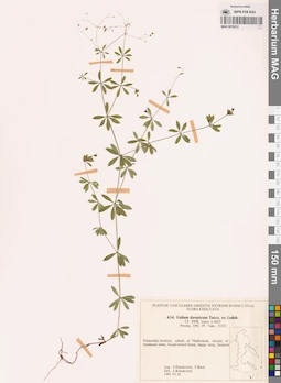 MAG 0018212