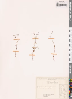 MAG 0018214