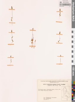 MAG 0018221